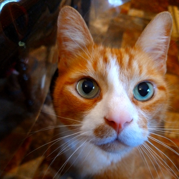 Unlisted show - Picture 4 of 4